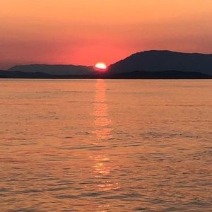 Meet your Posher, Violet